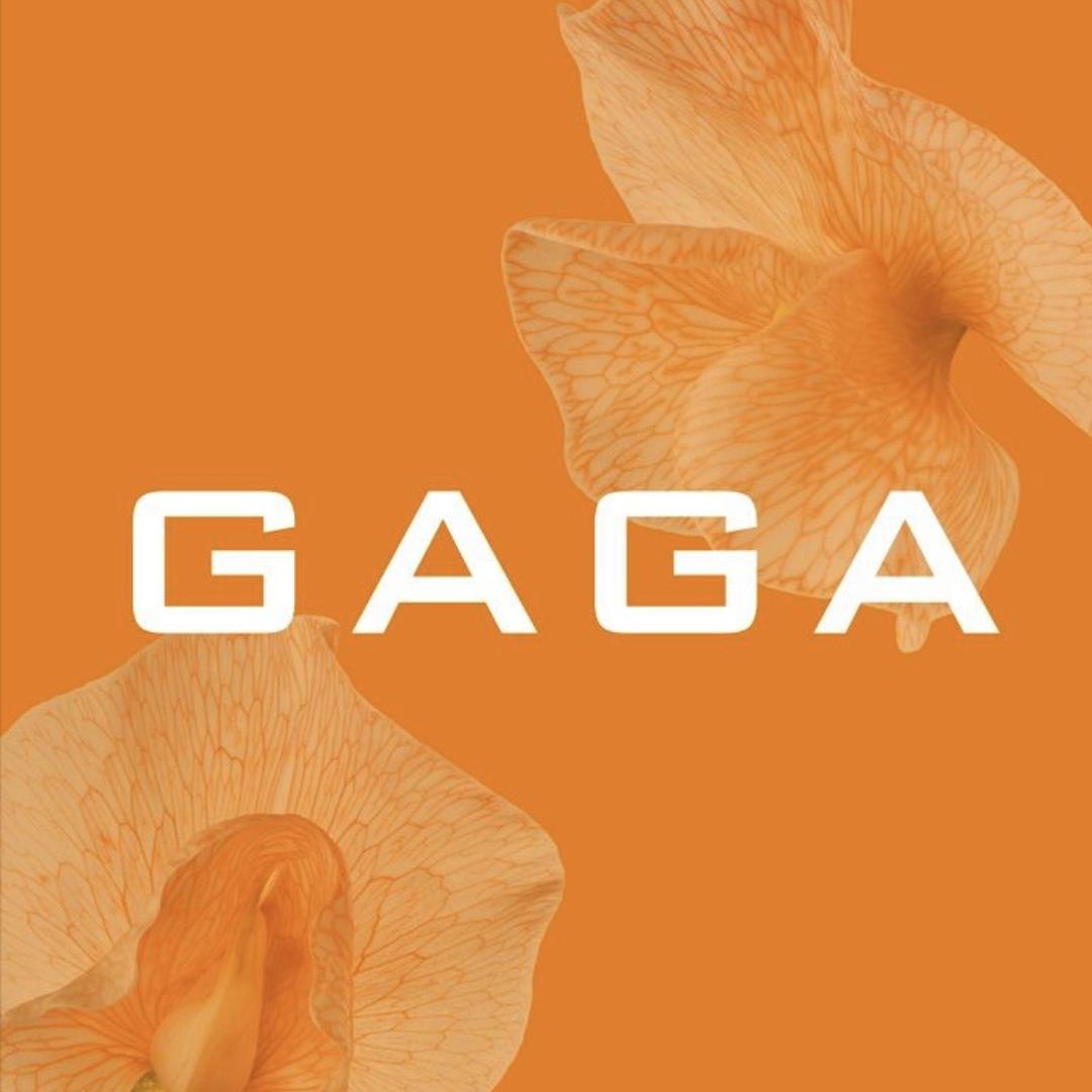 GAGA女装旗舰店直播间