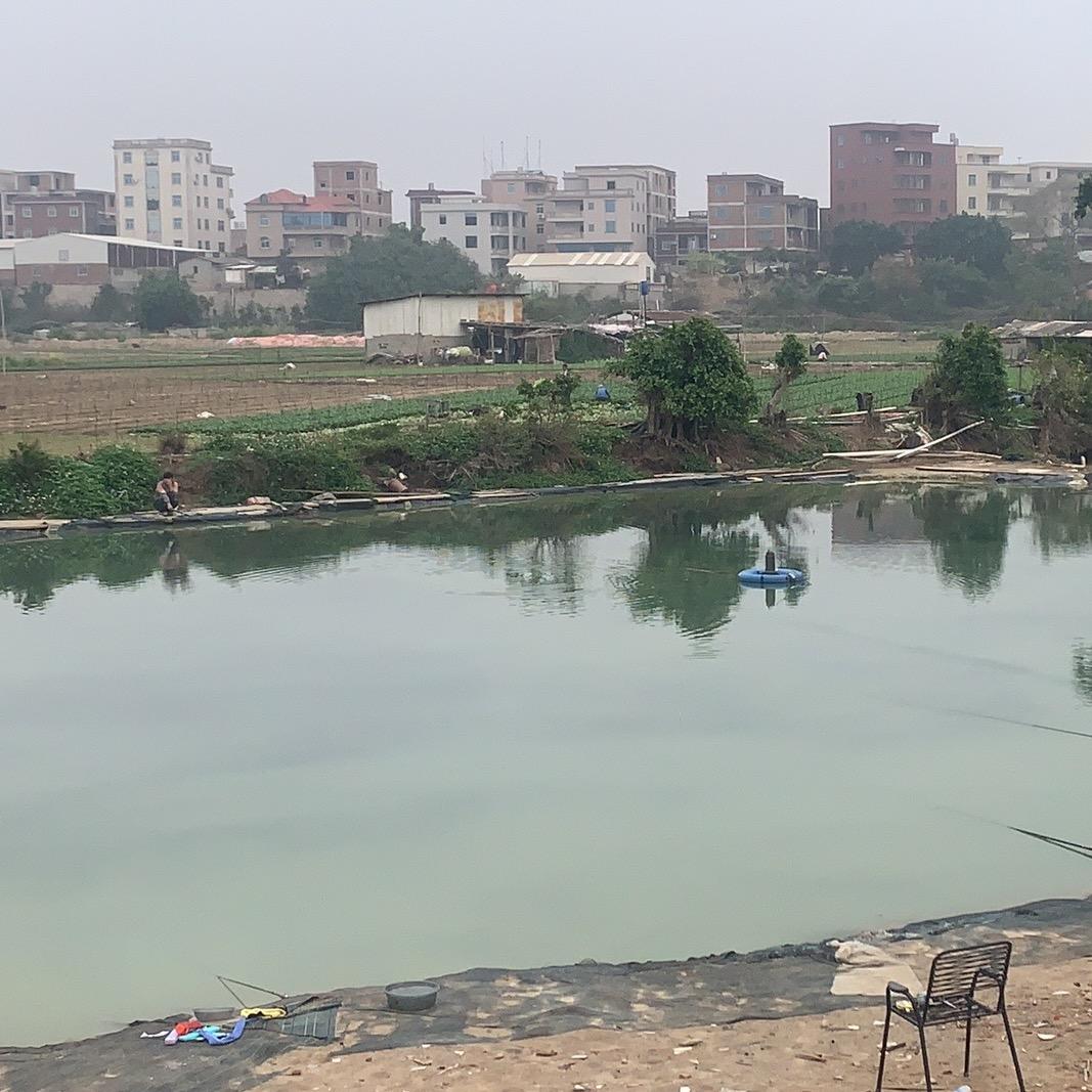安海庄头休闲钓场