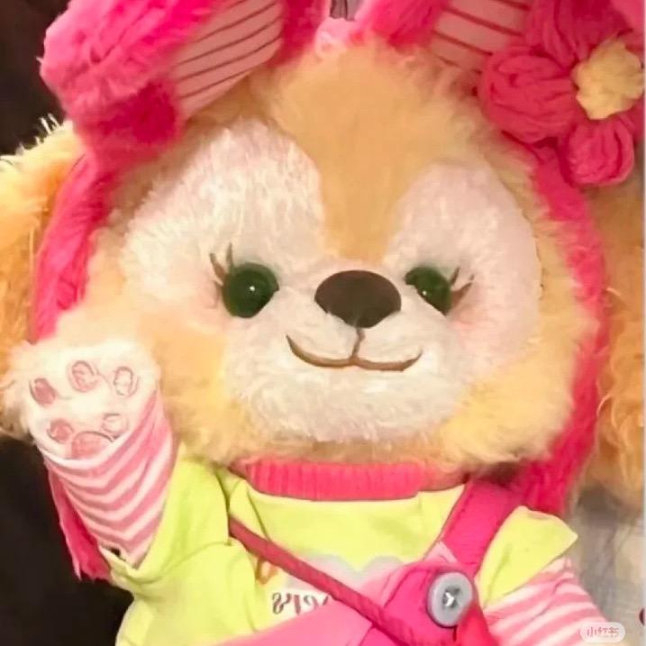 松松牛肉粥🎀