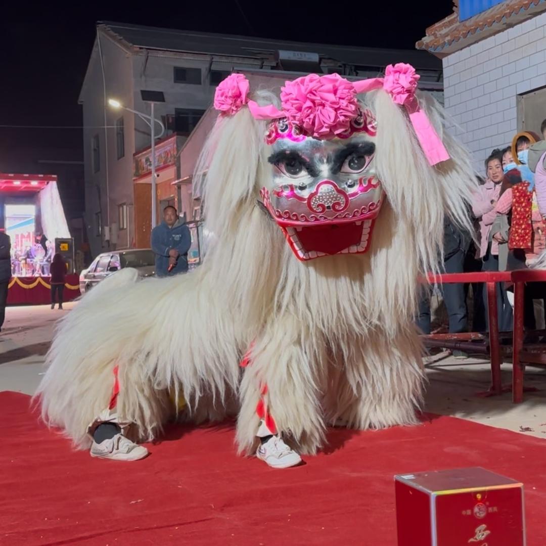 精彩小白狮演绎团（全国商演）