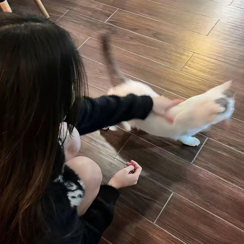 不吃香菜🌿