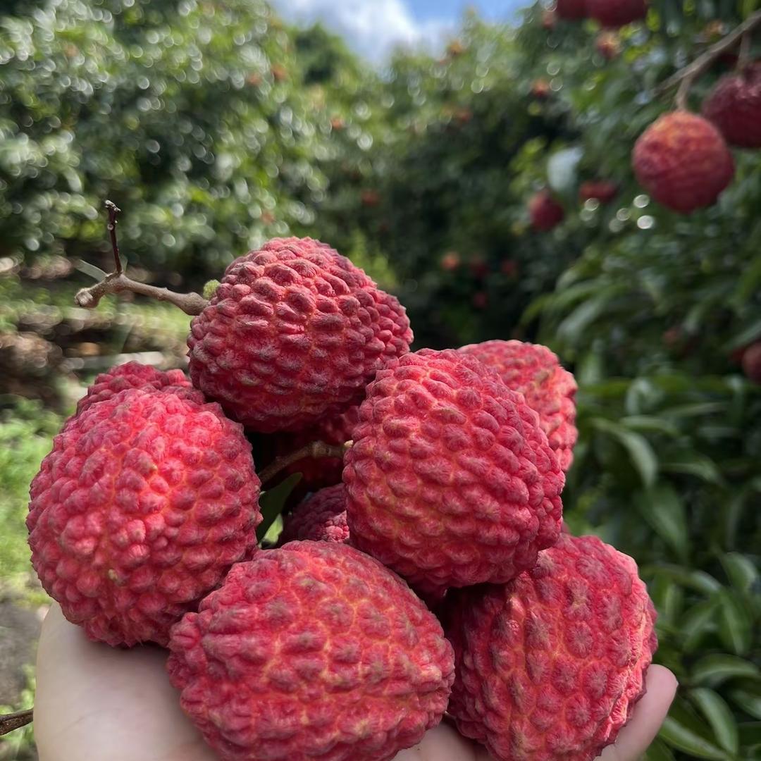 你有好果子吃