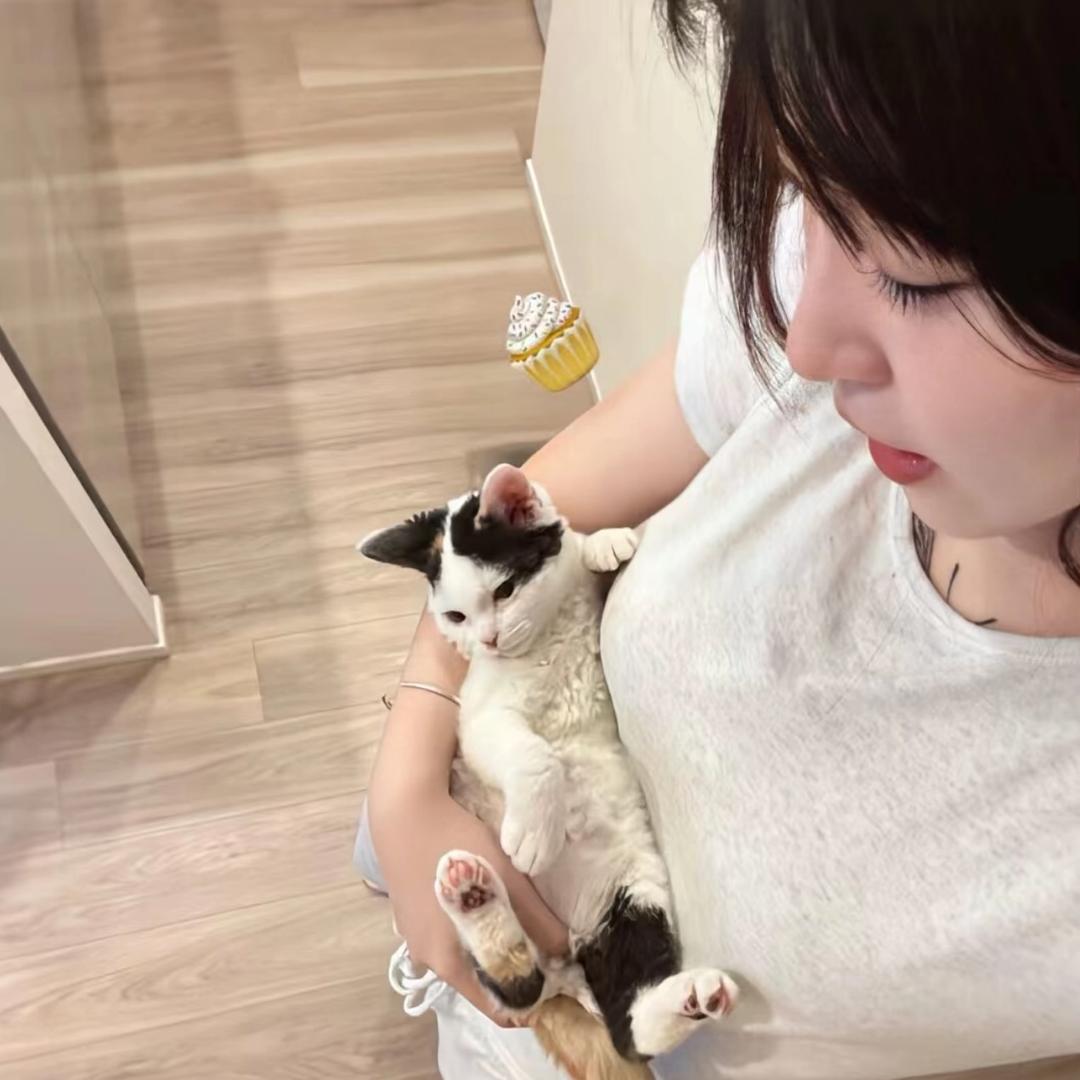 蛋挞子子