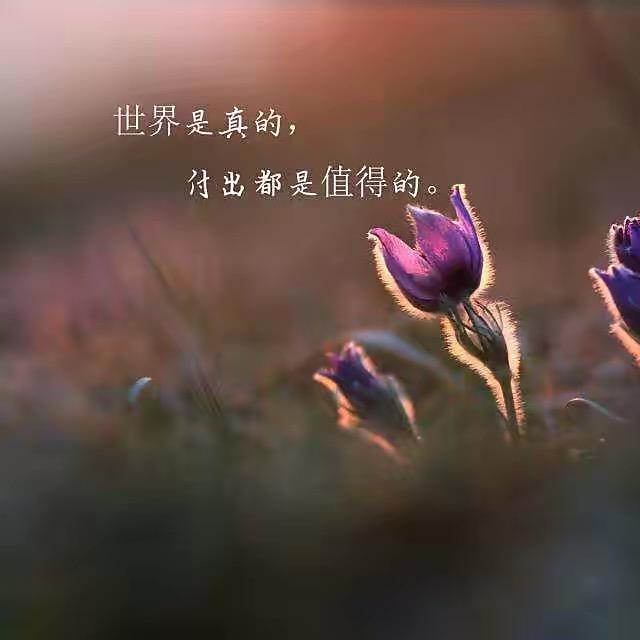 漫步人生路……