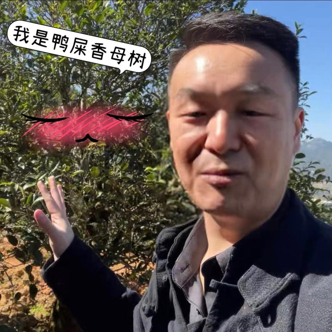 阿飞的飞