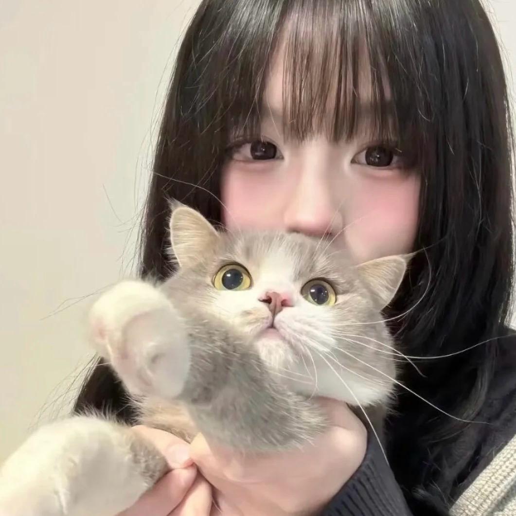 北北🐱