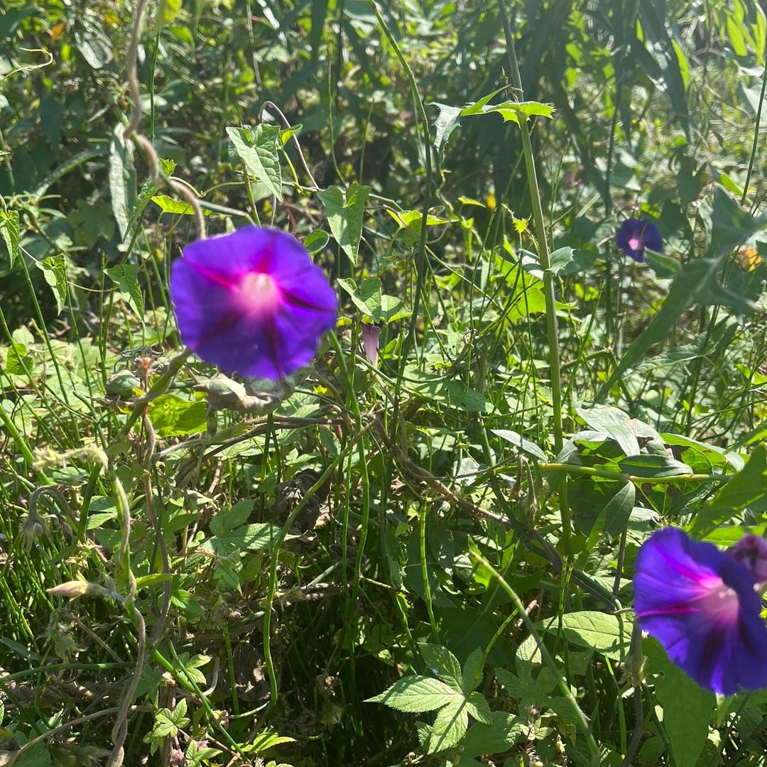 单身妞（生活号）