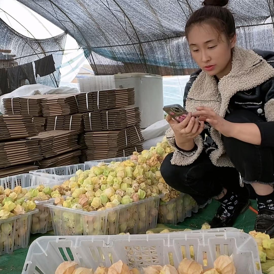 驰妹农产品