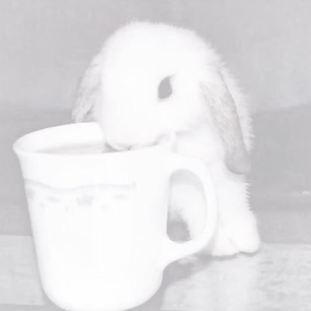 晚安安.