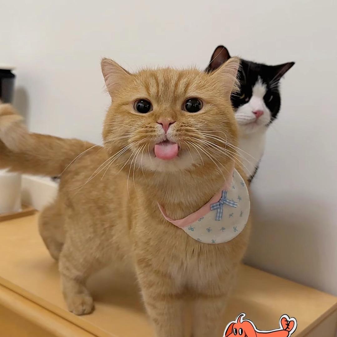晚风yc