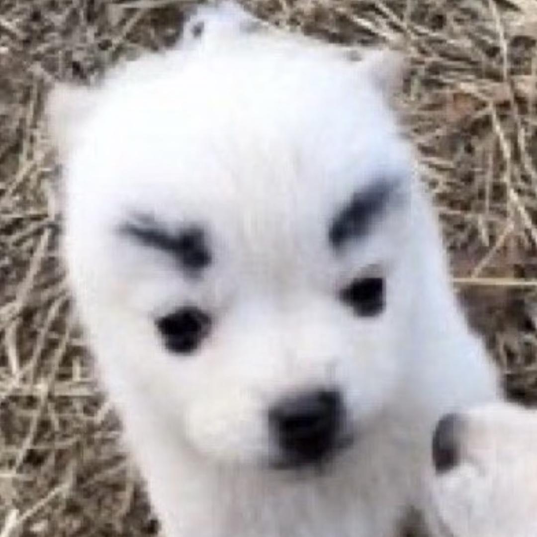 牙牙狗