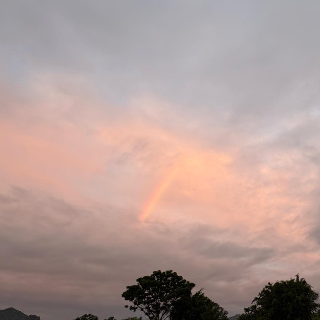 ℒ信ℴ命ꦿ不认命❦এۣۖℒ: