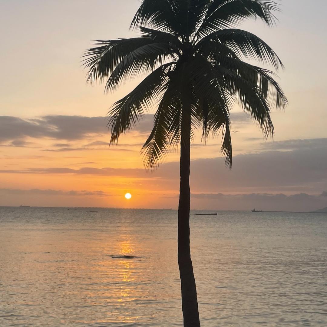 蠡县隆港畜牧服务店（个体工商户）