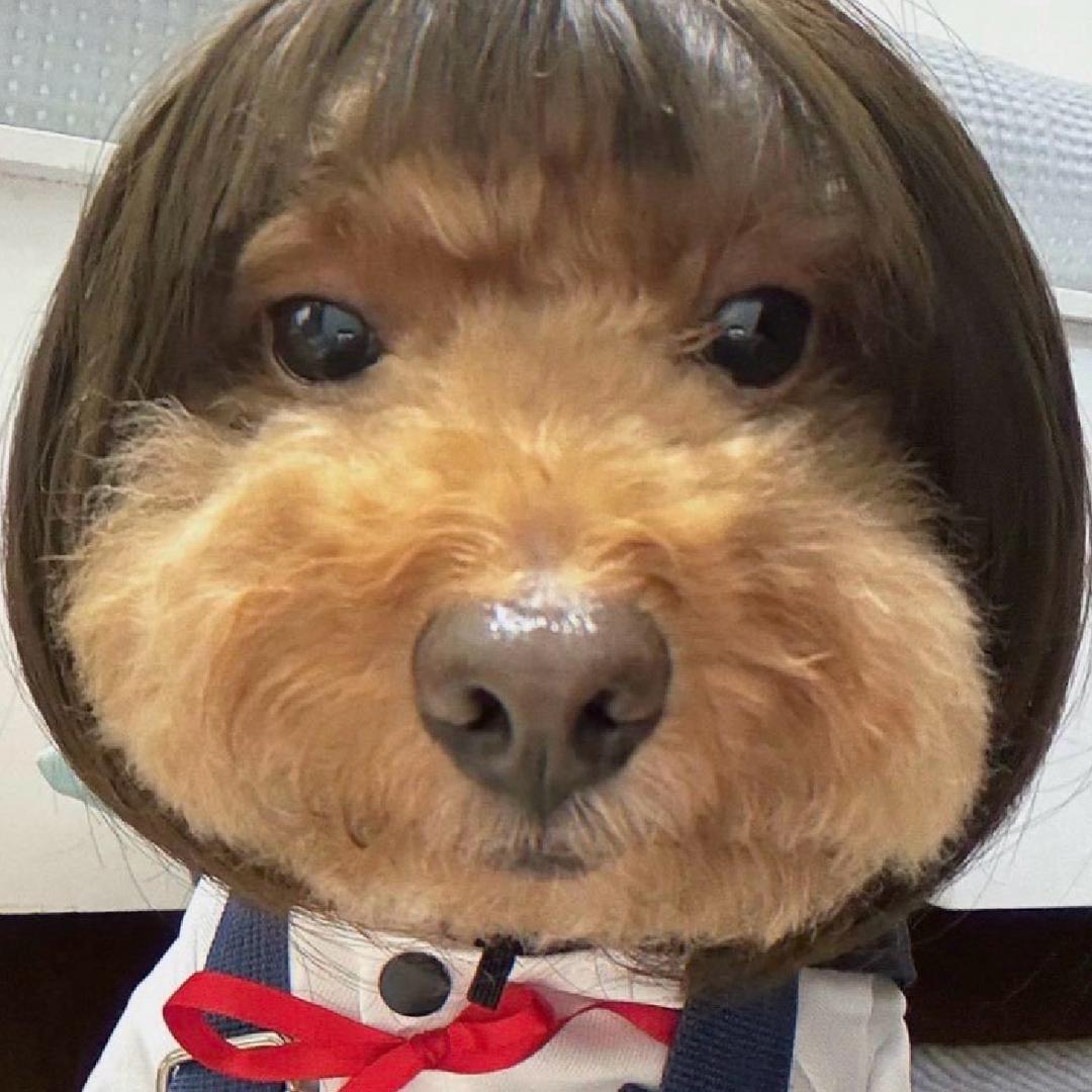 修勾大王