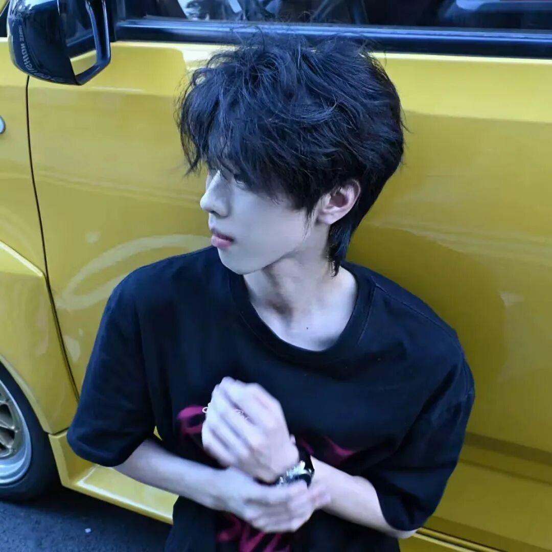 蟑螂恶霸