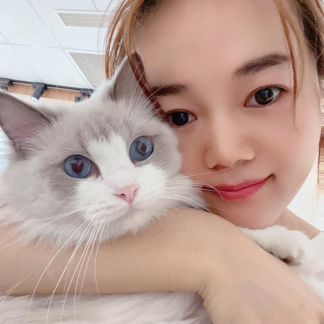 爱喝墨水的猫