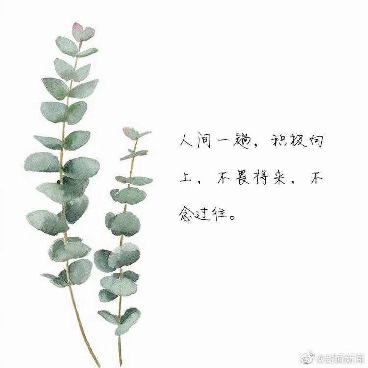 谢谢谢小姐