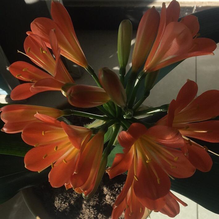 一路走来不容易