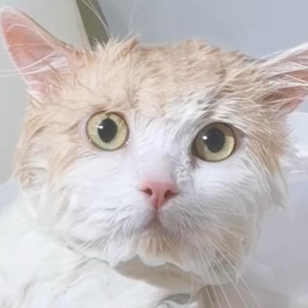 我愿意