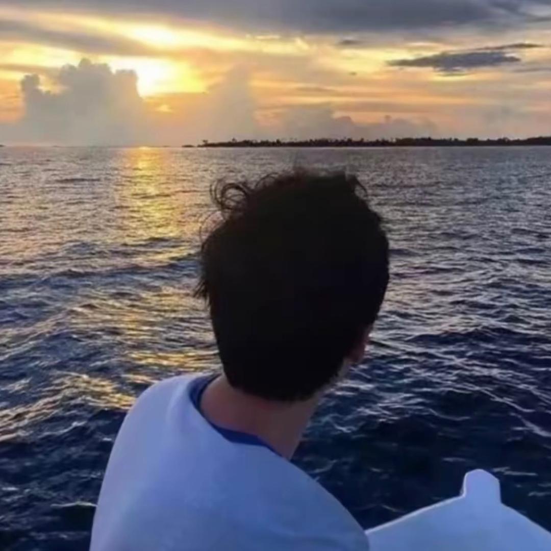 一 叶 知 秋