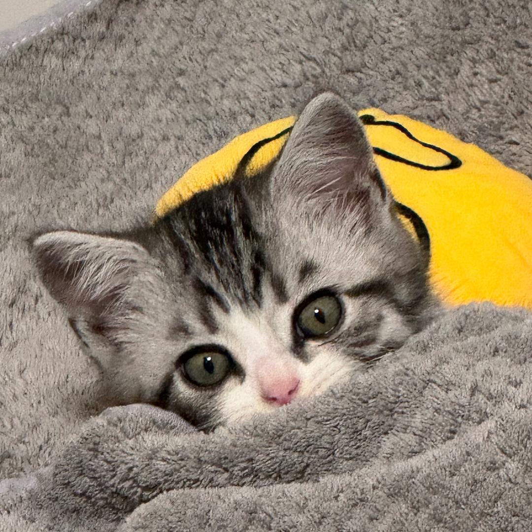 我要发财啦@抖音