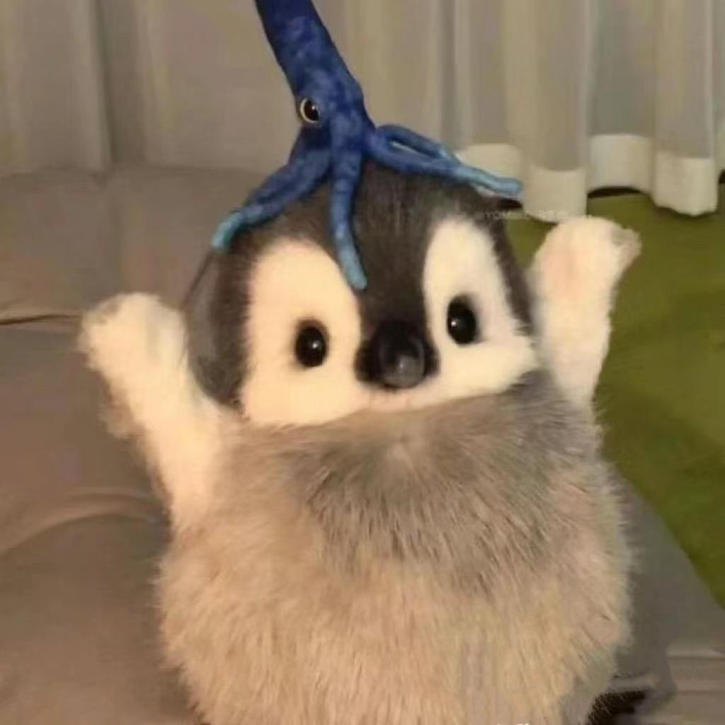 哈哈不哈哈🐧