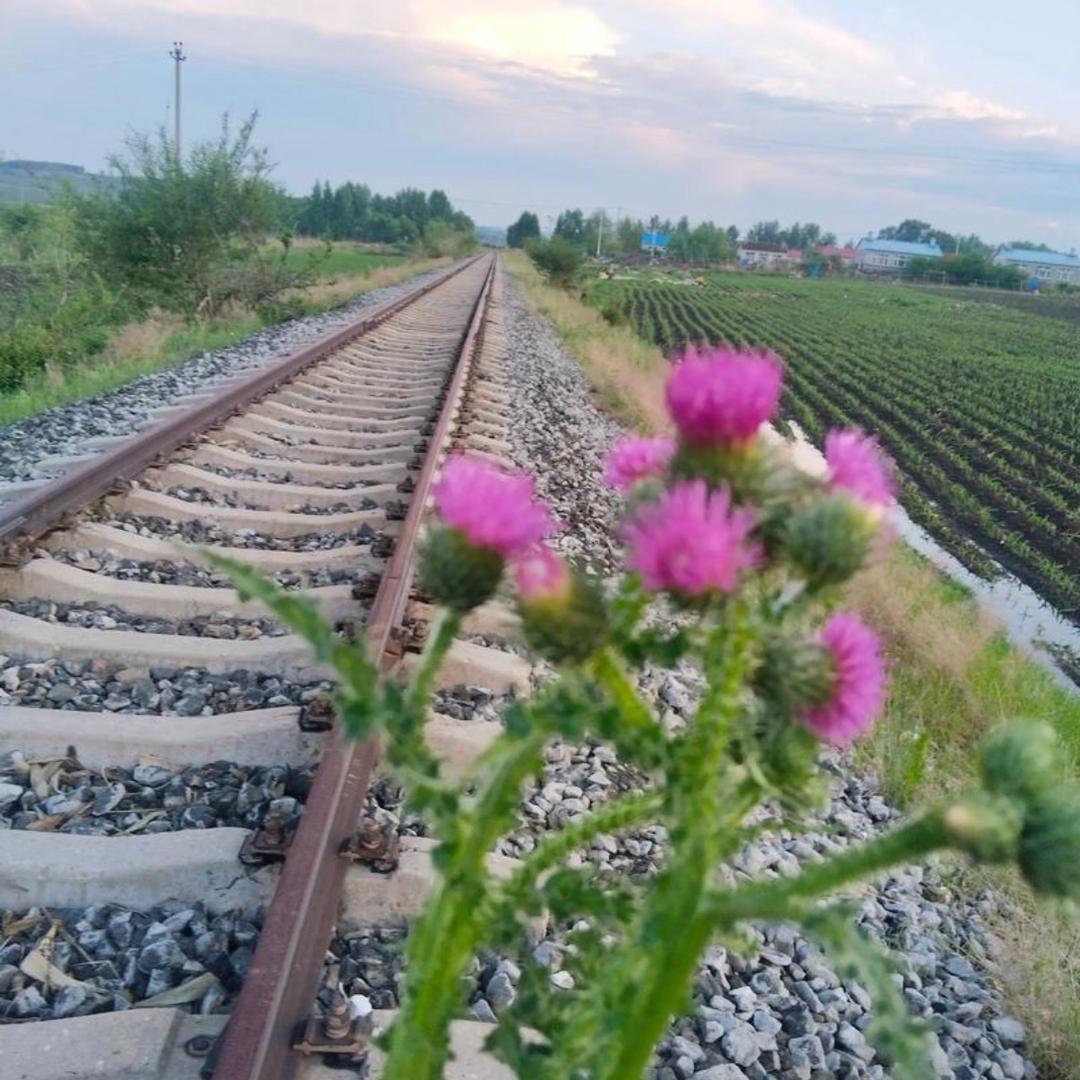 🌹💋葡萄🍊🍒