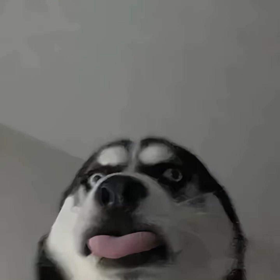 厌蠢症犯了