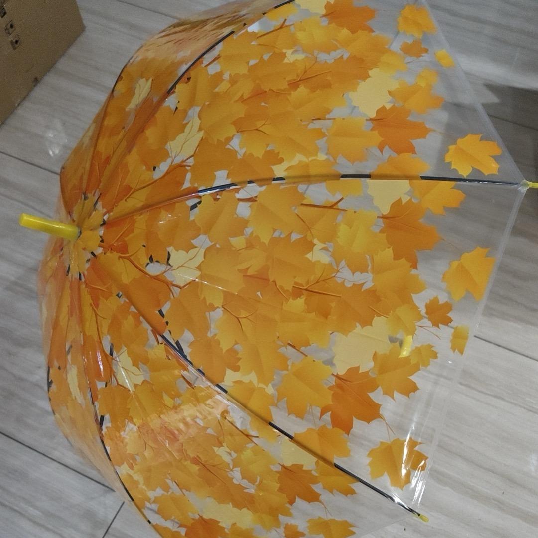 开心每一天