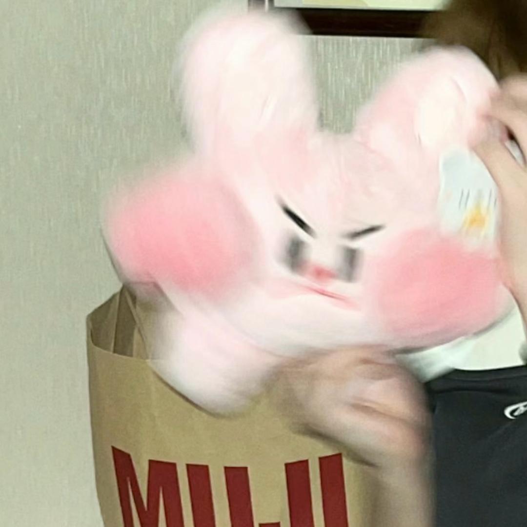 小丁要上岸（学习版）