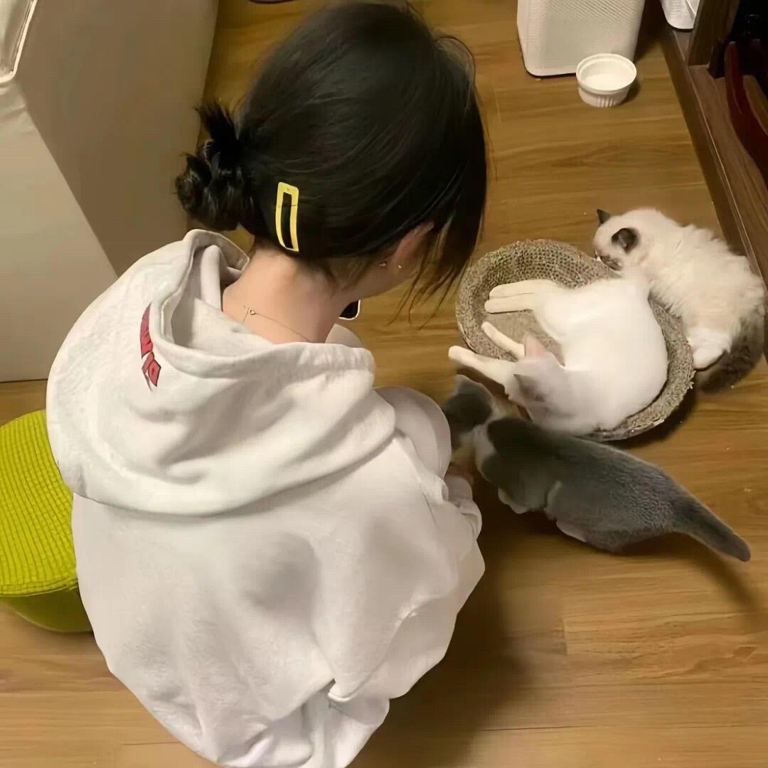 夏景晴⁷