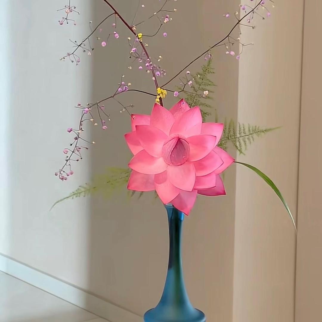 伯羽麻麻