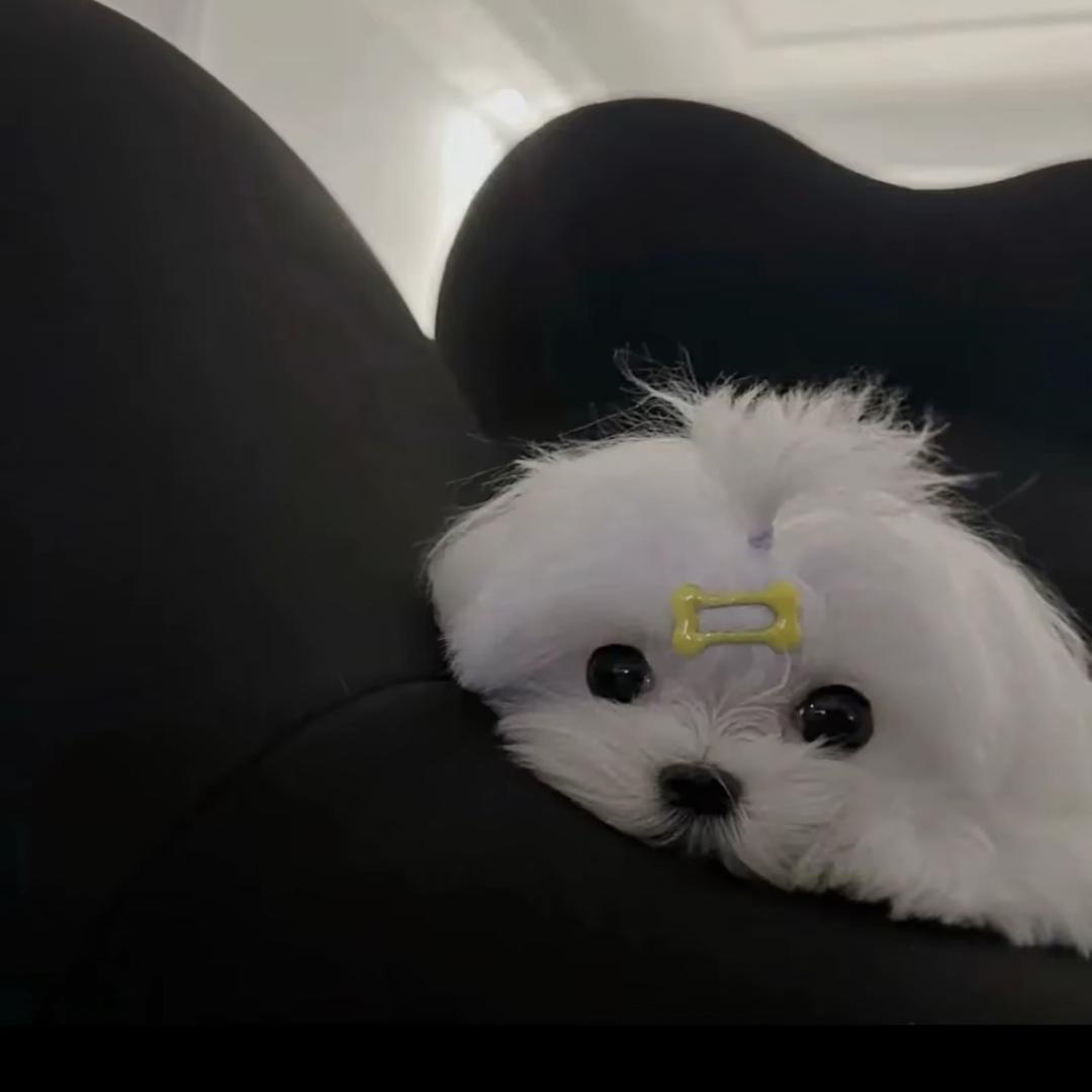 yu