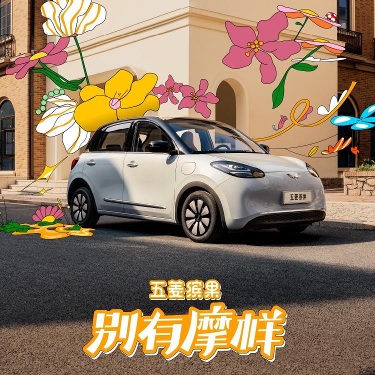 蔡小蔡