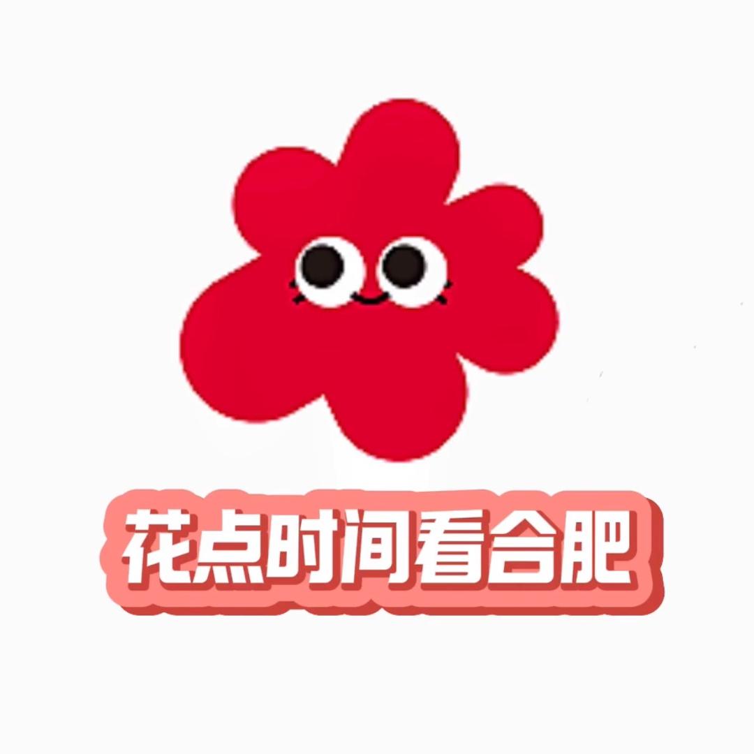 花点时间看合肥