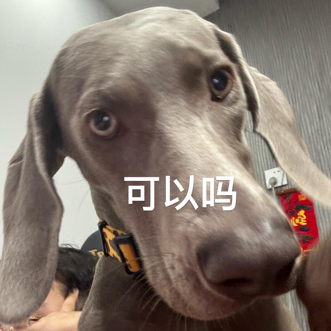 刘艾拉