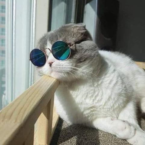 樹ㄦ🕶️¹¹⁰³