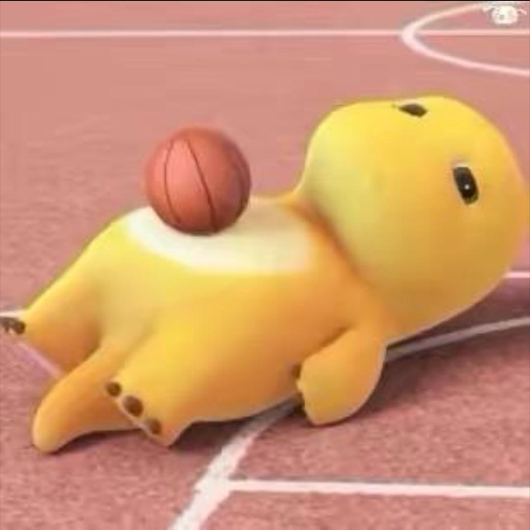 basketbo