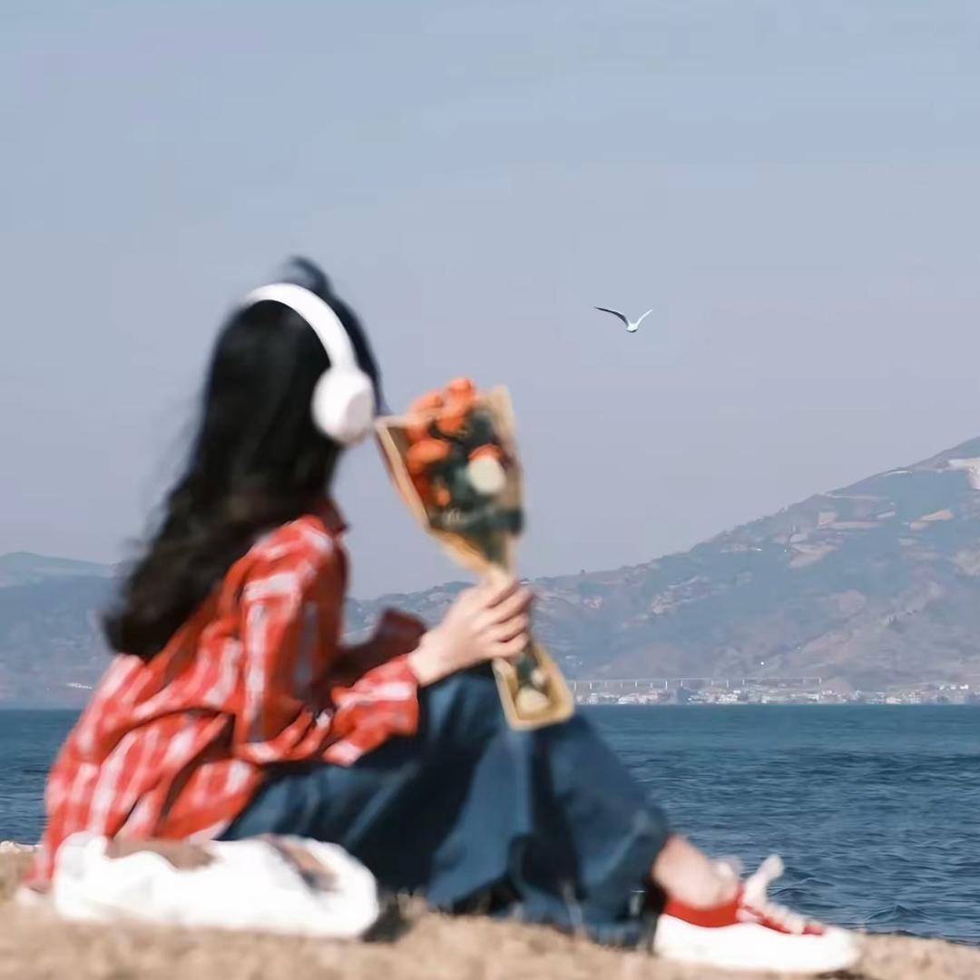 七安