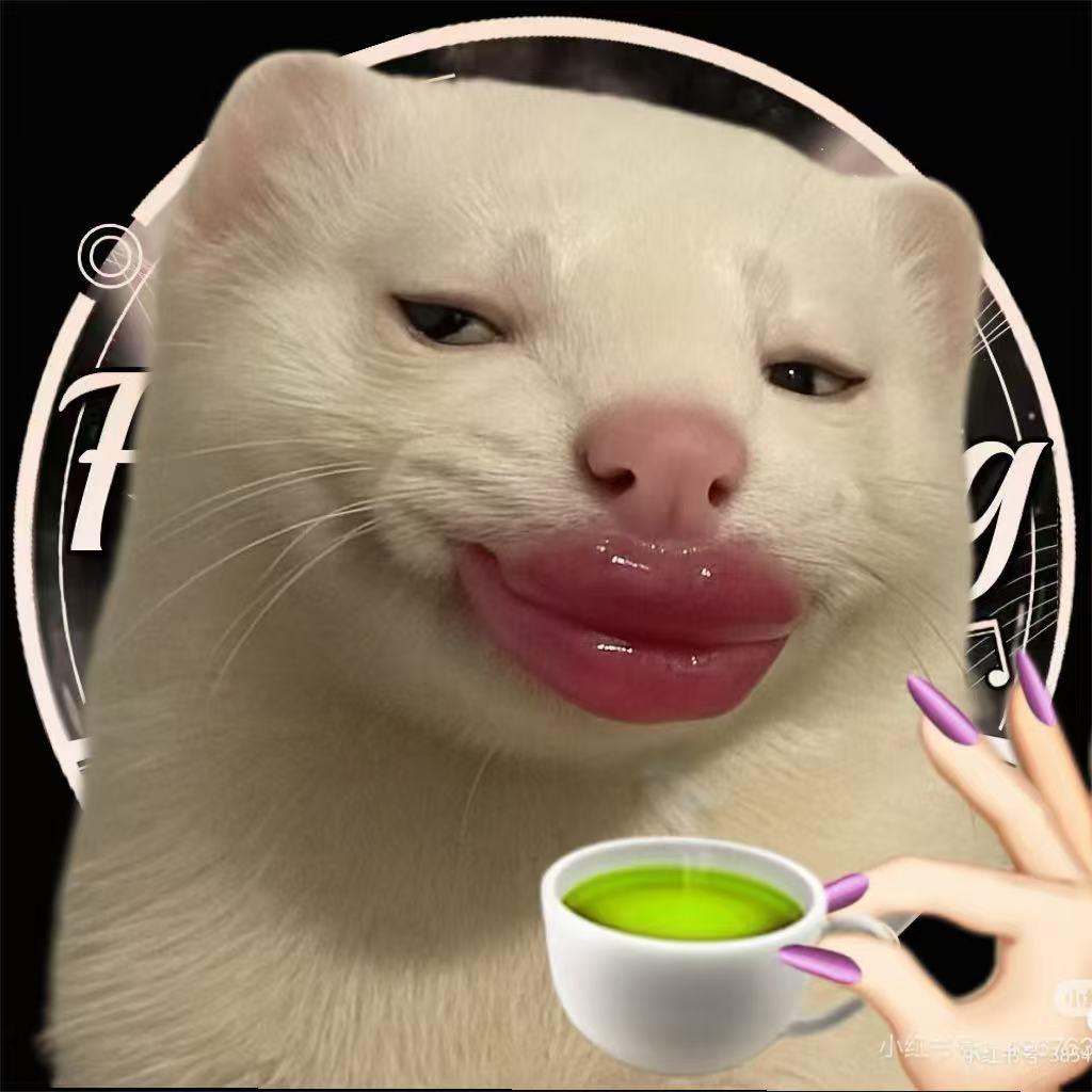 饺子✨
