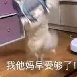 没钱瘾大技术渣