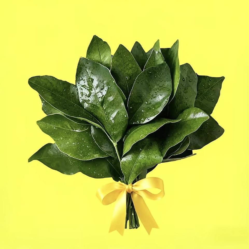 @（姗姐🐯）（彬彬跟练员）