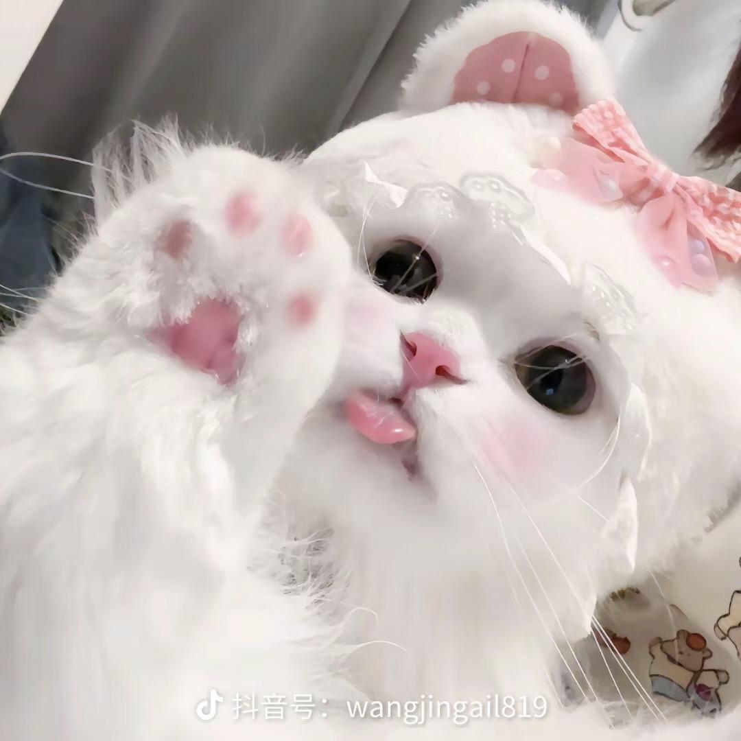 纯情小姨.
