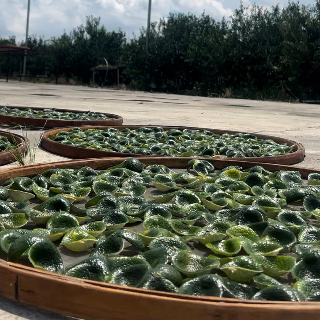 新会蕴章堂陈皮-南坦狗腩柑