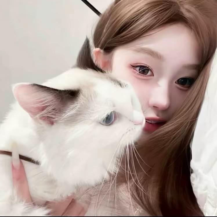 ㅤ  ㅤㅤㅤㅤ