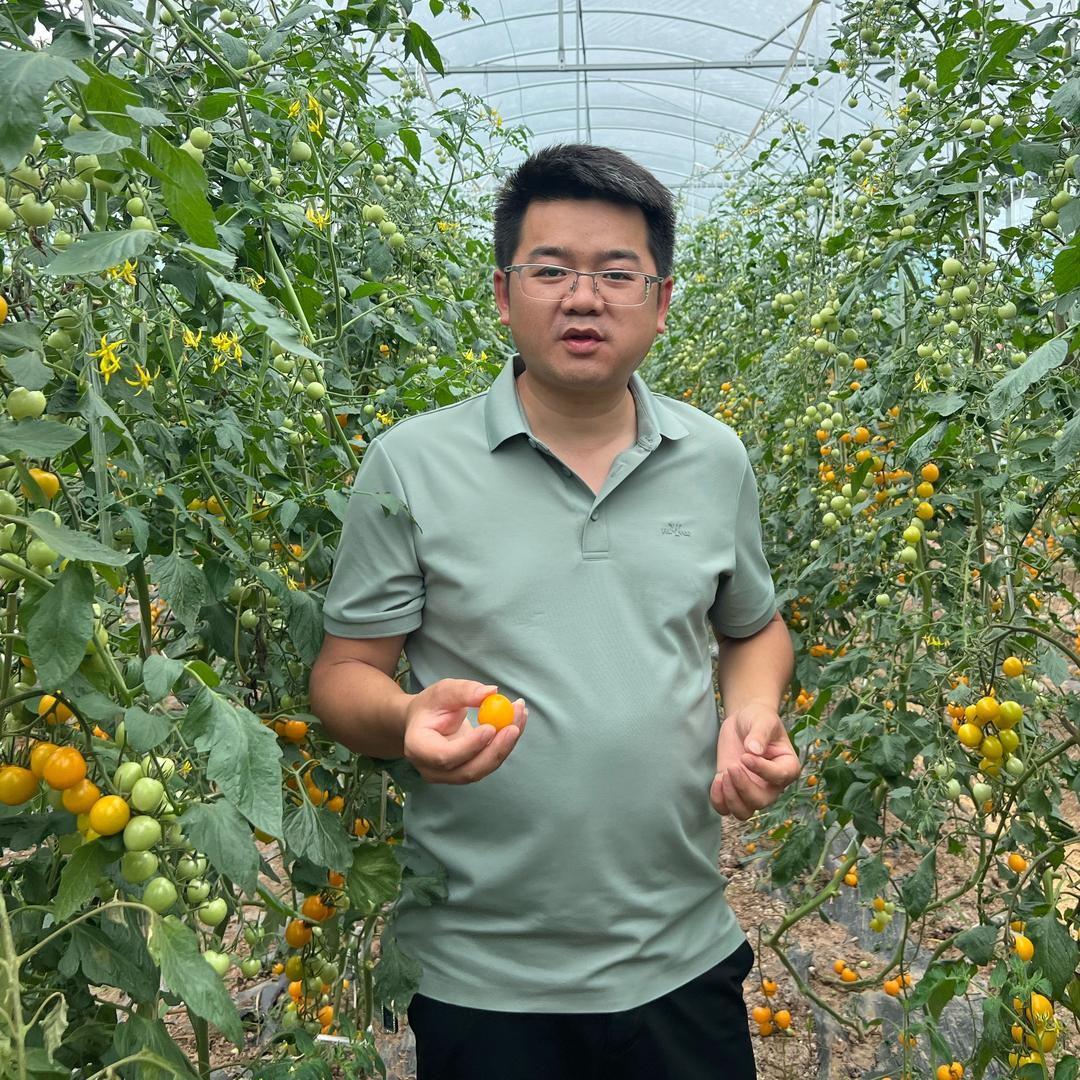 新青年冉阿周