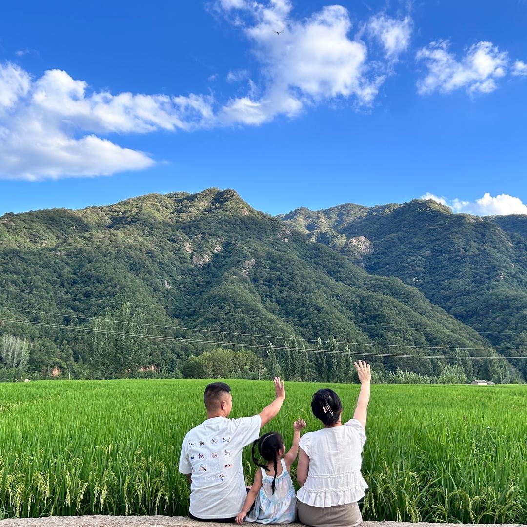 豆棵一号