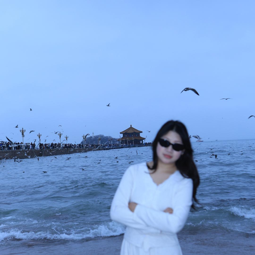 小杨的发疯日常