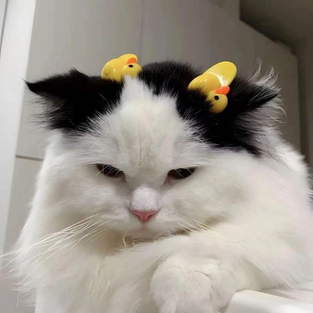 犯困蛋挞🥚🍳