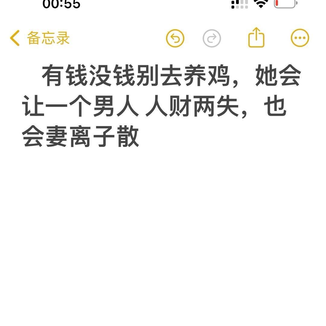 94593740338
